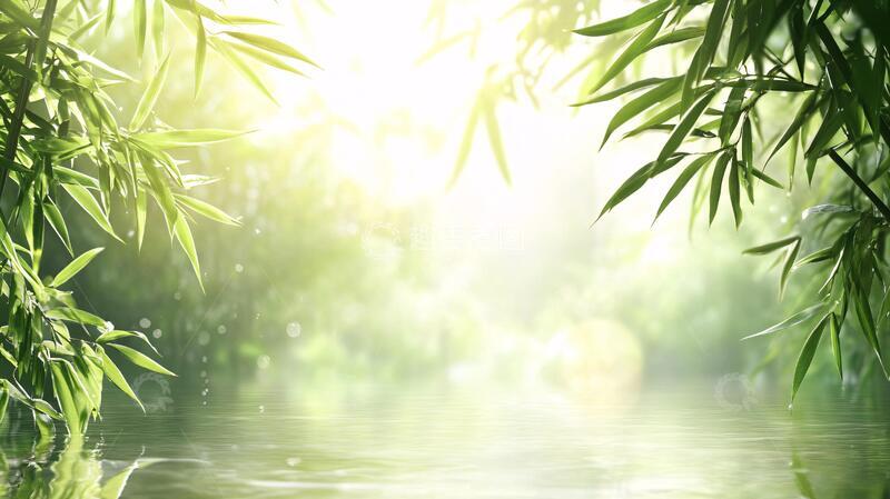 高清大图下载【趣麦麦图】唯美竹林背景82