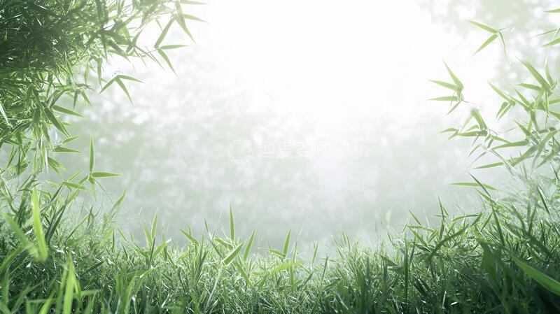 高清大图下载【趣麦麦图】唯美竹叶背景120