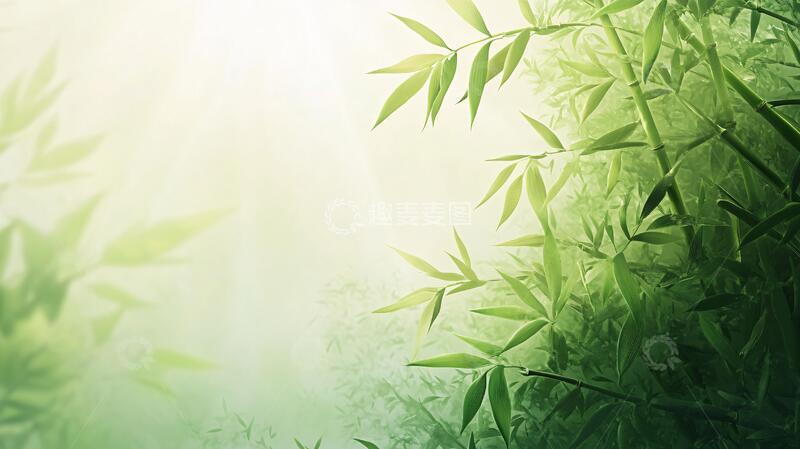 高清大图下载【趣麦麦图】唯美竹叶背景116