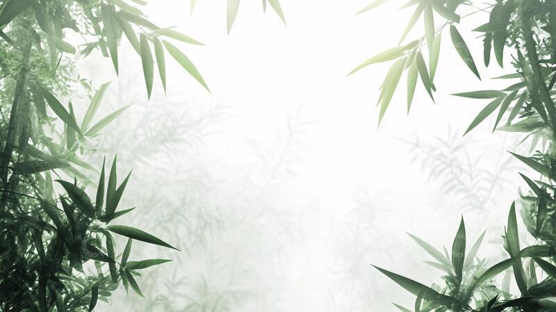 高清大图下载【趣麦麦图】唯美竹叶背景128