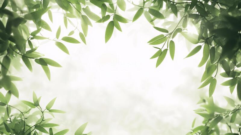 高清大图下载【趣麦麦图】唯美竹叶背景117