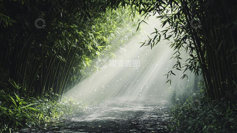 高清大图下载【趣麦麦图】竹林仙境背景意境素材