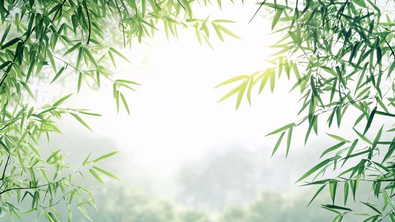 高清大图下载【趣麦麦图】唯美竹叶背景121