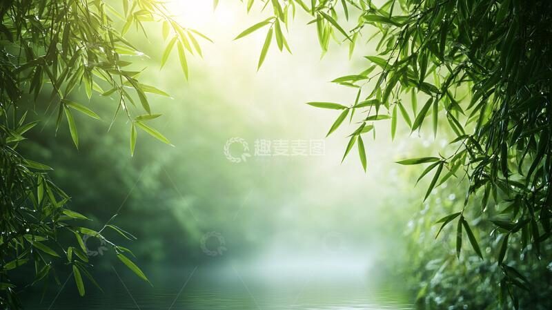 高清大图下载【趣麦麦图】唯美竹影竹韵109