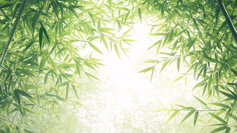 高清大图下载【趣麦麦图】唯美竹林背景70