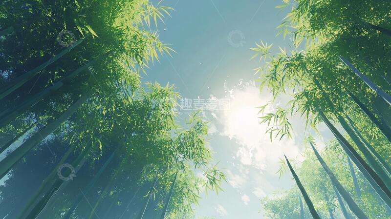 高清大图下载【趣麦麦图】竹林背景桌面12