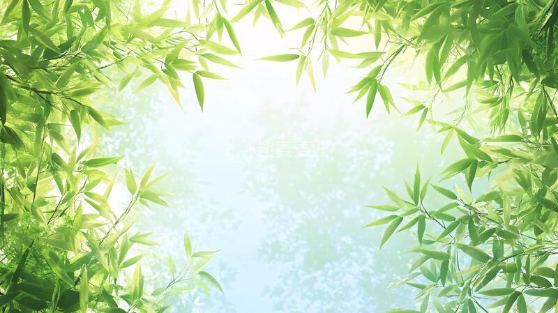 高清大图下载【趣麦麦图】唯美竹叶背景107