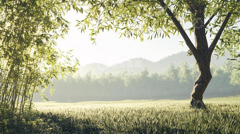 高清大图下载【趣麦麦图】竹林背景桌面9