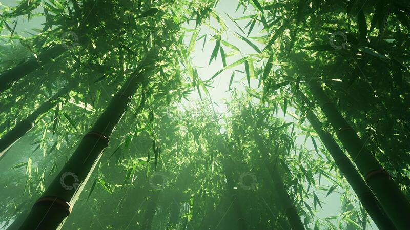 高清大图下载【趣麦麦图】意境竹林宁静绿竹林