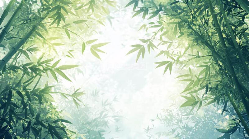 高清大图下载【趣麦麦图】唯美竹影竹韵73