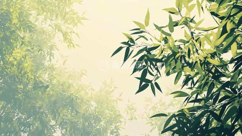 高清大图下载【趣麦麦图】唯美竹叶实拍3