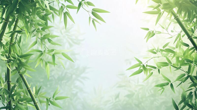高清大图下载【趣麦麦图】唯美竹叶背景109