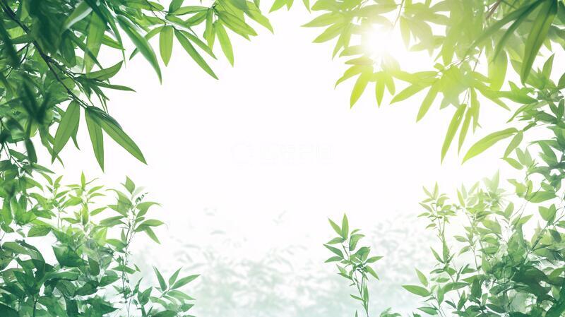 高清大图下载【趣麦麦图】竹叶竹林背景