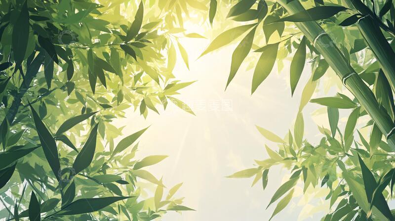 高清大图下载【趣麦麦图】竹林背景插画37