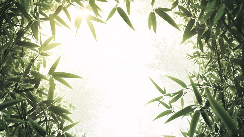 高清大图下载【趣麦麦图】唯美竹叶背景95