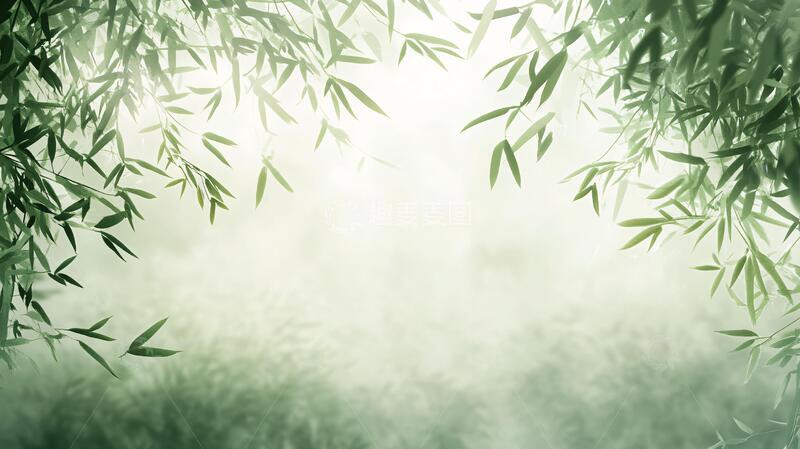 高清大图下载【趣麦麦图】唯美竹叶背景94