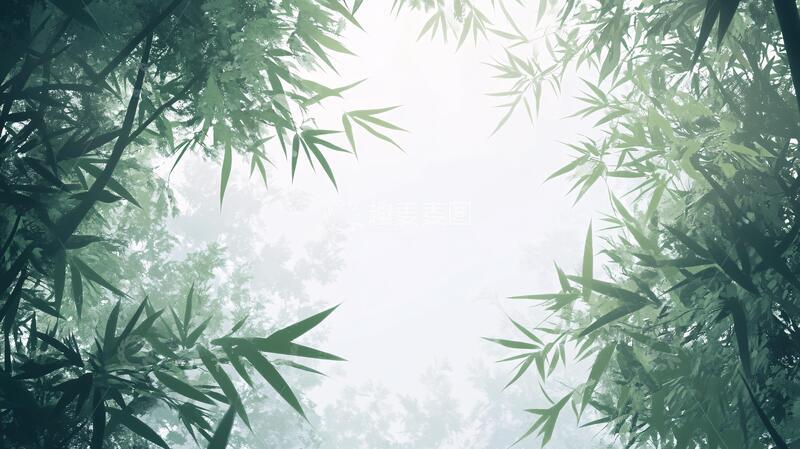 高清大图下载【趣麦麦图】竹林背景插画39