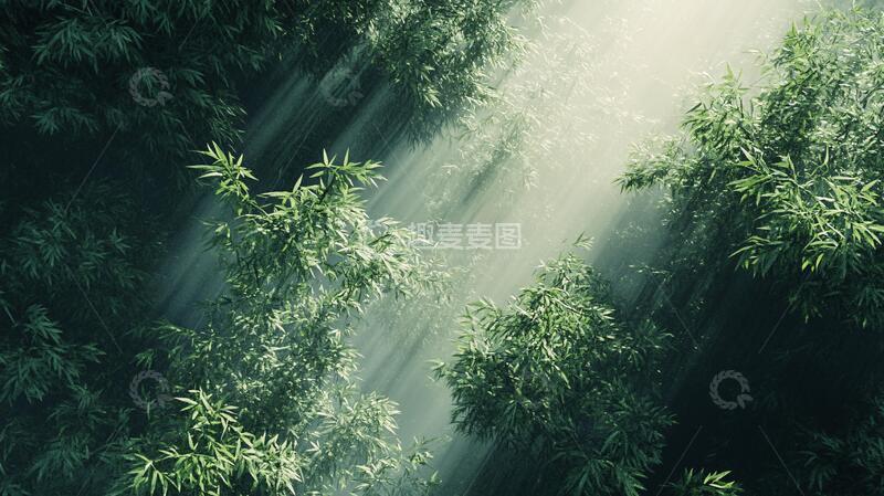 高清大图下载【趣麦麦图】梦幻竹林梦幻光影背景
