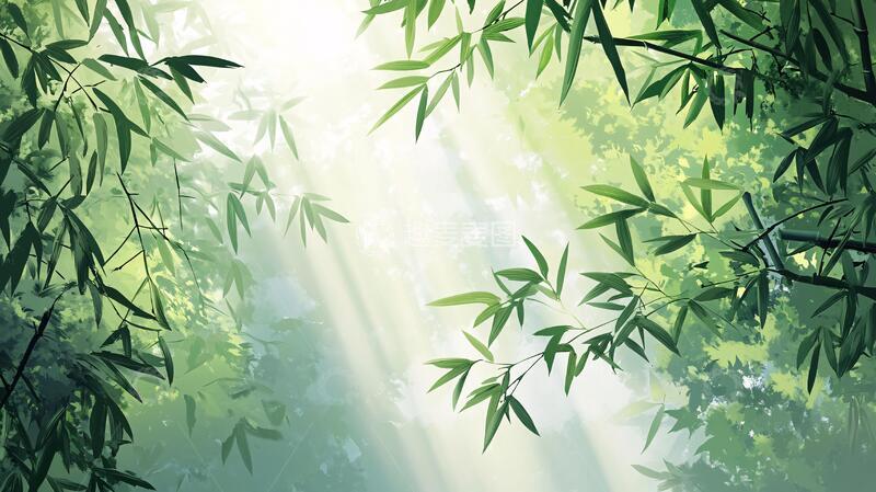 高清大图下载【趣麦麦图】唯美竹影竹韵79