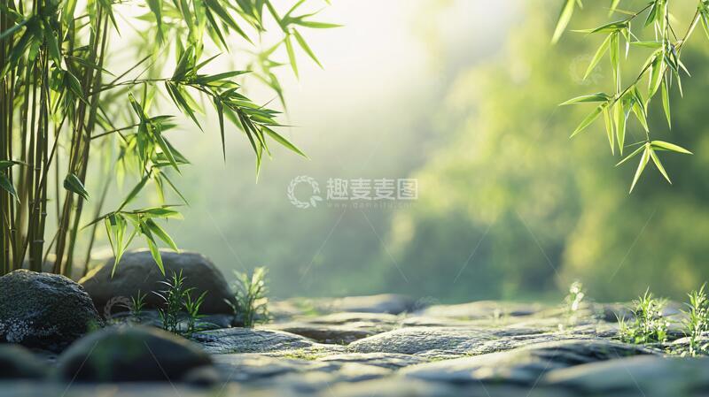 高清大图下载【趣麦麦图】唯美竹林背景61
