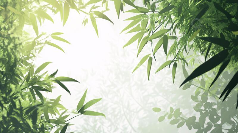 高清大图下载【趣麦麦图】唯美竹叶背景113