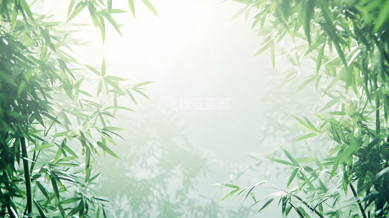 高清大图下载【趣麦麦图】唯美竹林背景62