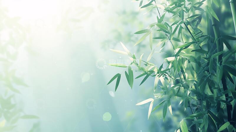 高清大图下载【趣麦麦图】唯美竹叶背景103