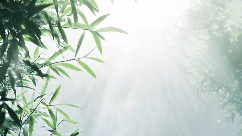 高清大图下载【趣麦麦图】唯美竹影竹韵67