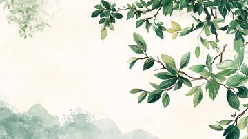 桂花树枝叶背景2