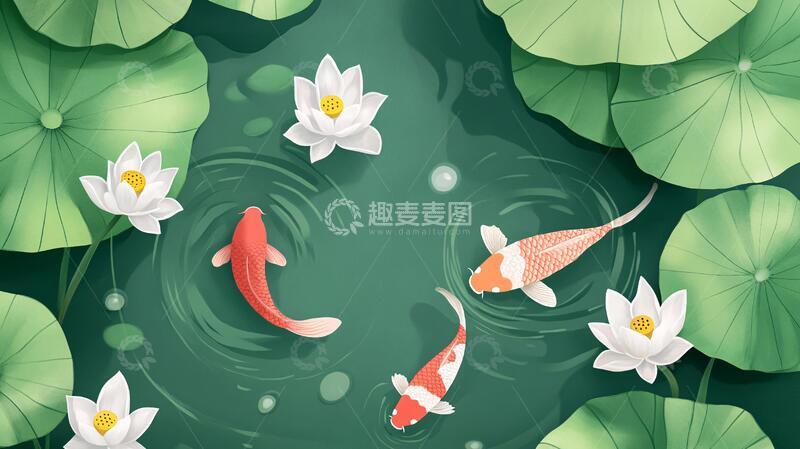高清大图下载【趣麦麦图】荷花锦鲤插画14