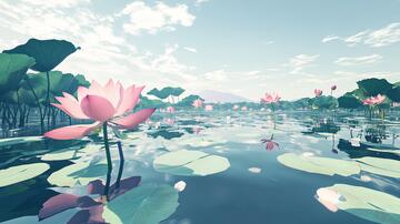 荷花大场景荷花全景荷塘