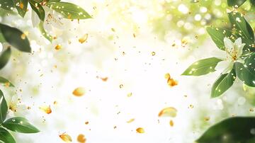 飘落的桂花桂花背景唯美