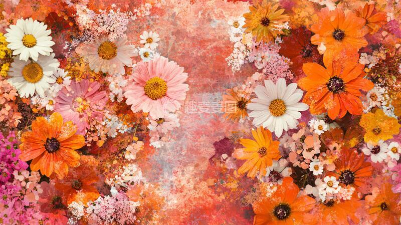 高清大图下载【趣麦麦图】彩色鲜花背景墙3