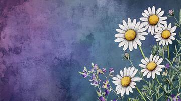 野花壁画雏菊壁画花卉