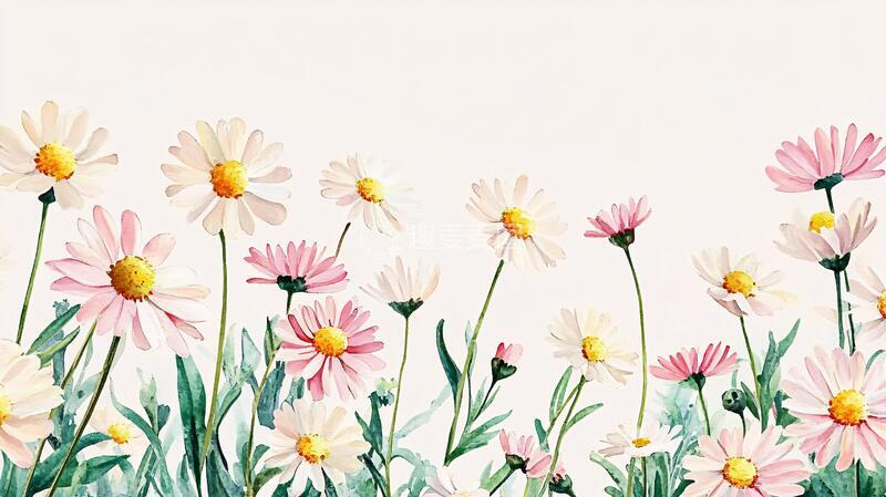 高清大图下载【趣麦麦图】雏菊板绘插画7