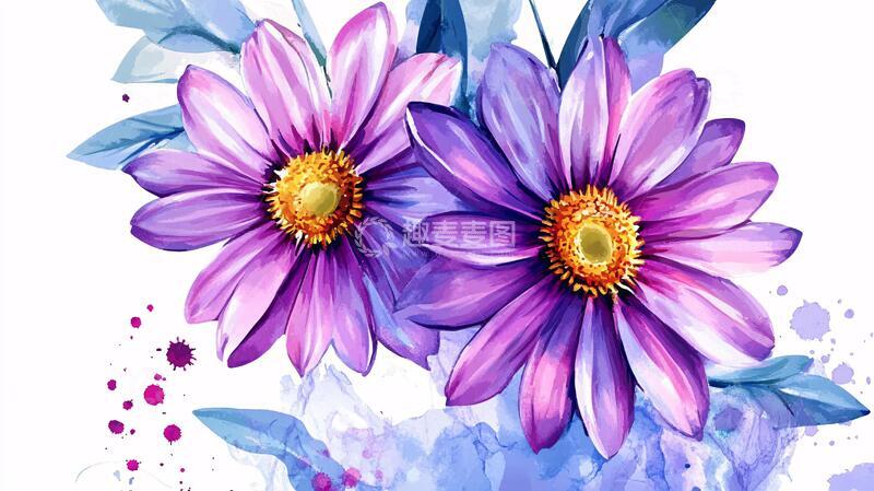 高清大图下载【趣麦麦图】手绘菊花紫色浪漫背景3