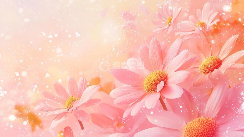 高清大图下载【趣麦麦图】森系粉橙色花朵背景7