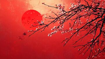 杏花红底图梅花杏花背景