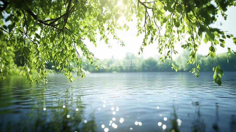 高清大图下载【趣麦麦图】阳光绿树湖岸1