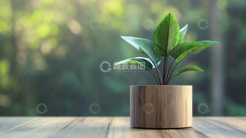 高清大图下载【趣麦麦图】茶桌上的木花盆