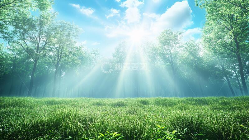 高清大图下载【趣麦麦图】阳光森林素材4