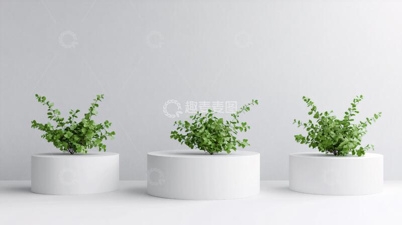 高清大图下载【趣麦麦图】白色花盆组合4