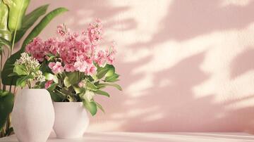 大气花卉场景70