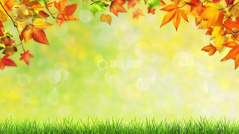 高清大图下载【趣麦麦图】草地落叶背景