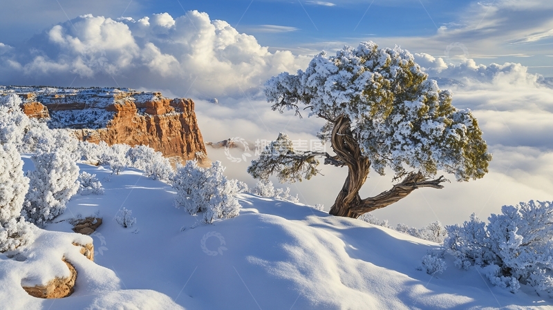高清大图下载【趣麦麦图】唯美的雪景2