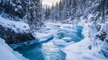 喀纳斯雪山森林河流1