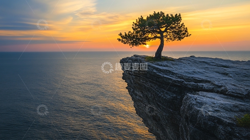 高清大图下载【趣麦麦图】峭壁一棵树