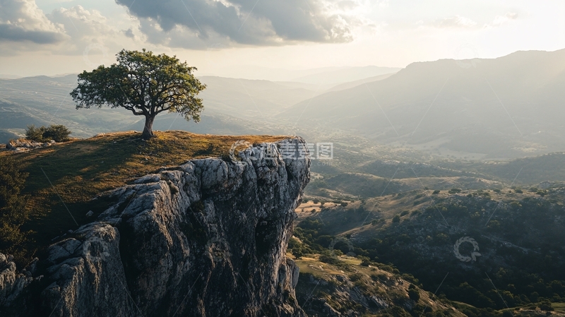 高清大图下载【趣麦麦图】山石中的树