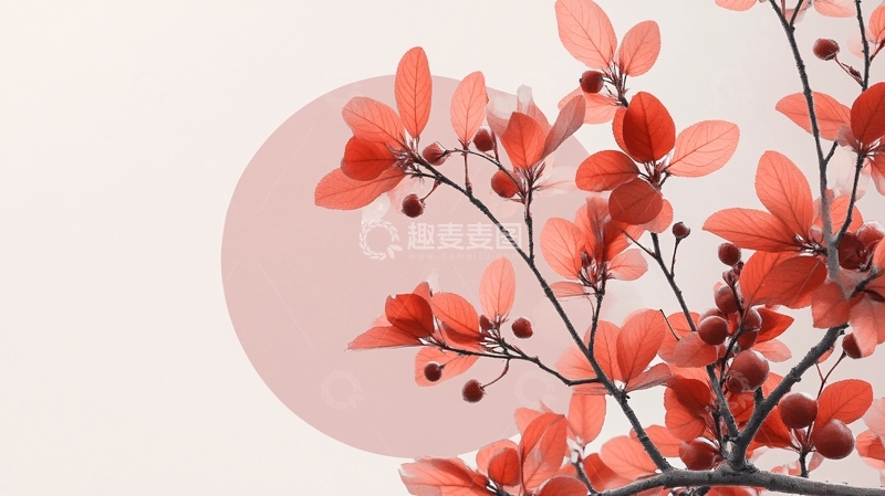 高清大图下载【趣麦麦图】红色树叶桌面5