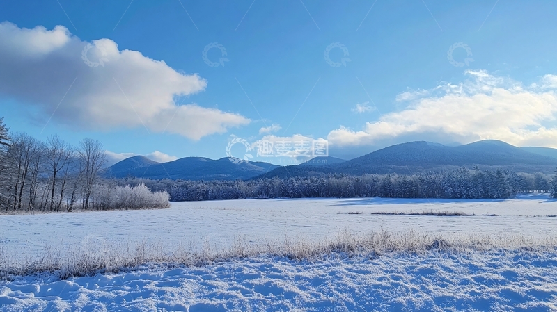 高清大图下载【趣麦麦图】2021年初冬